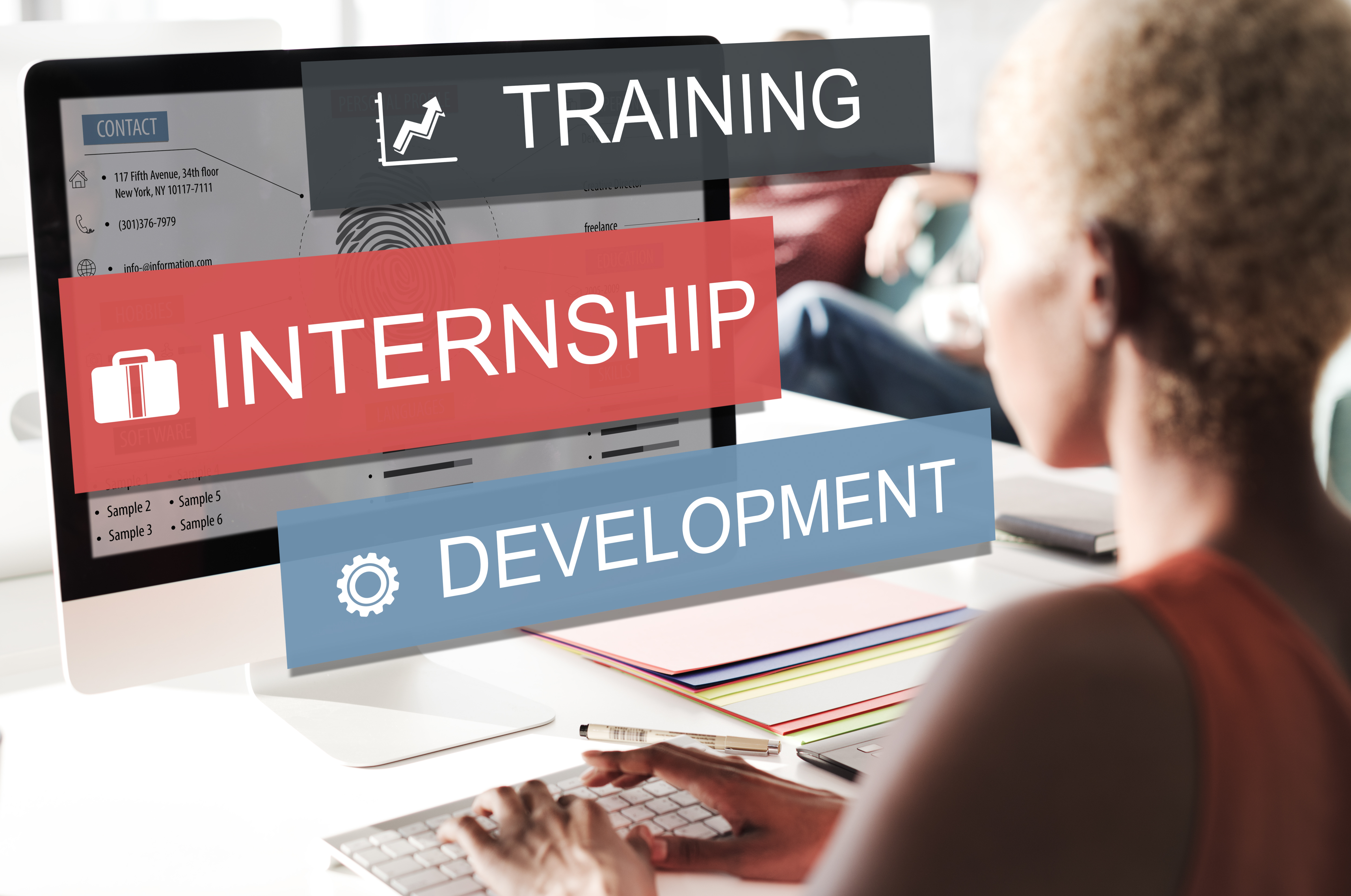 OECD Internship Programme